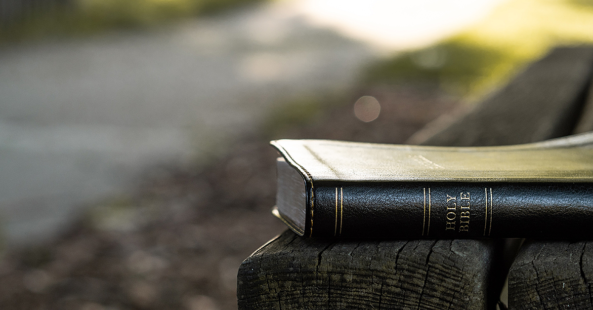photo by Aaron Burden via unsplash