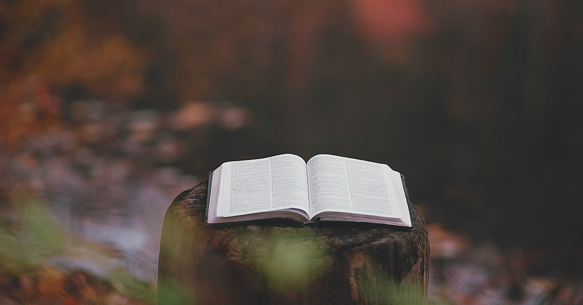 photo by Aaron Burden via unsplash