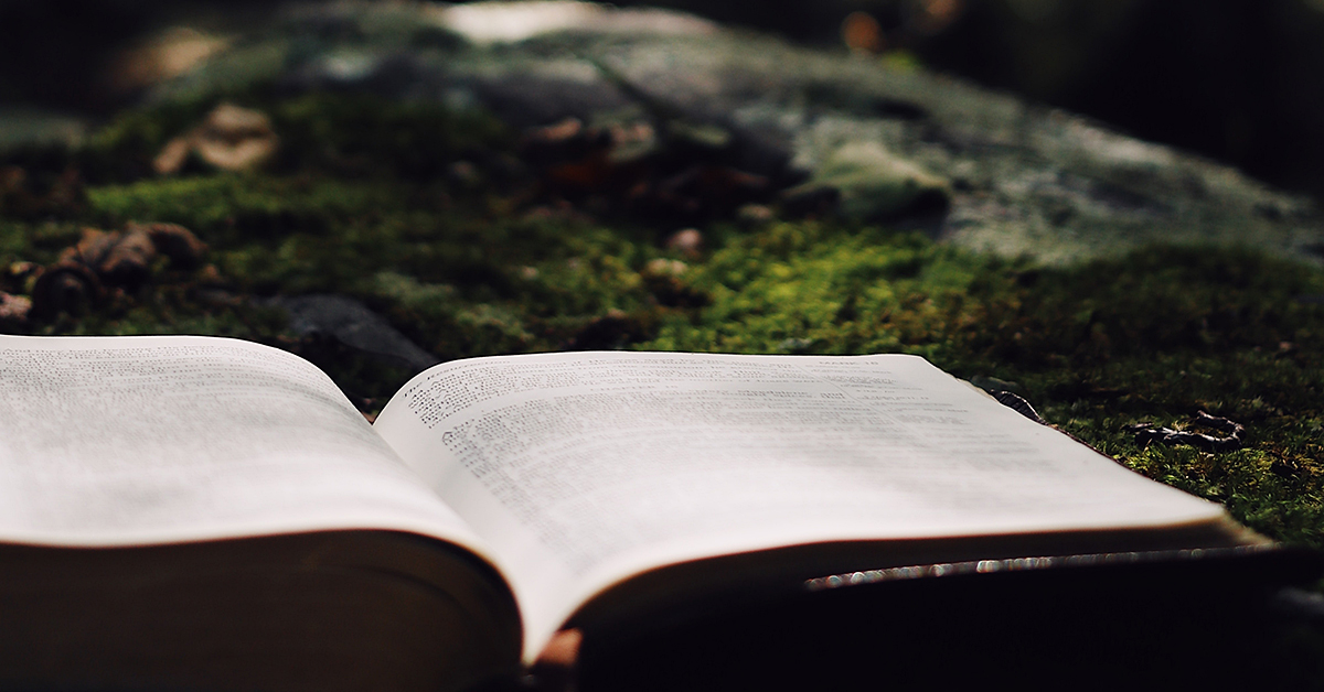 photo by Jessica Delp via unsplash