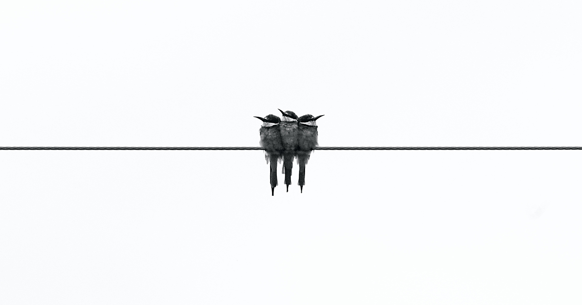 photo by Glen Carrie via unsplash