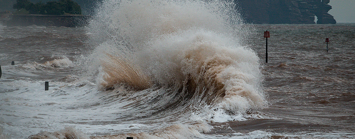 photo by Ray Harrington via unsplash