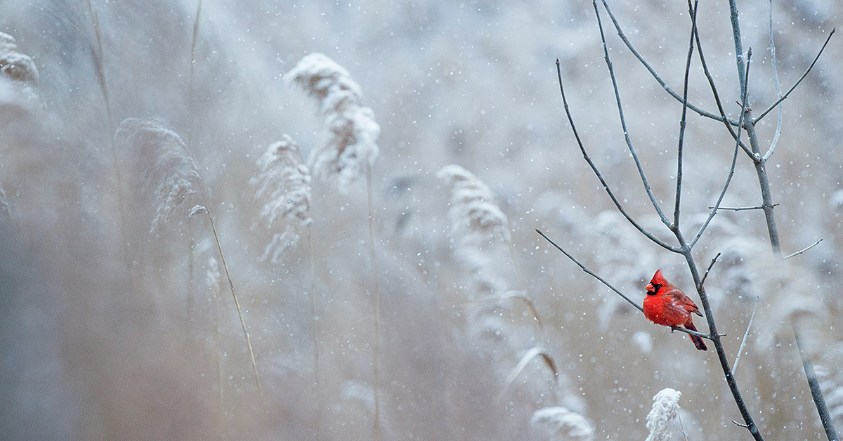 photo by Ray Hennessy via unsplash