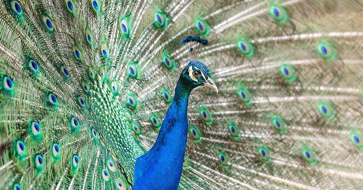 Photo by Michael Hacker via unsplash
