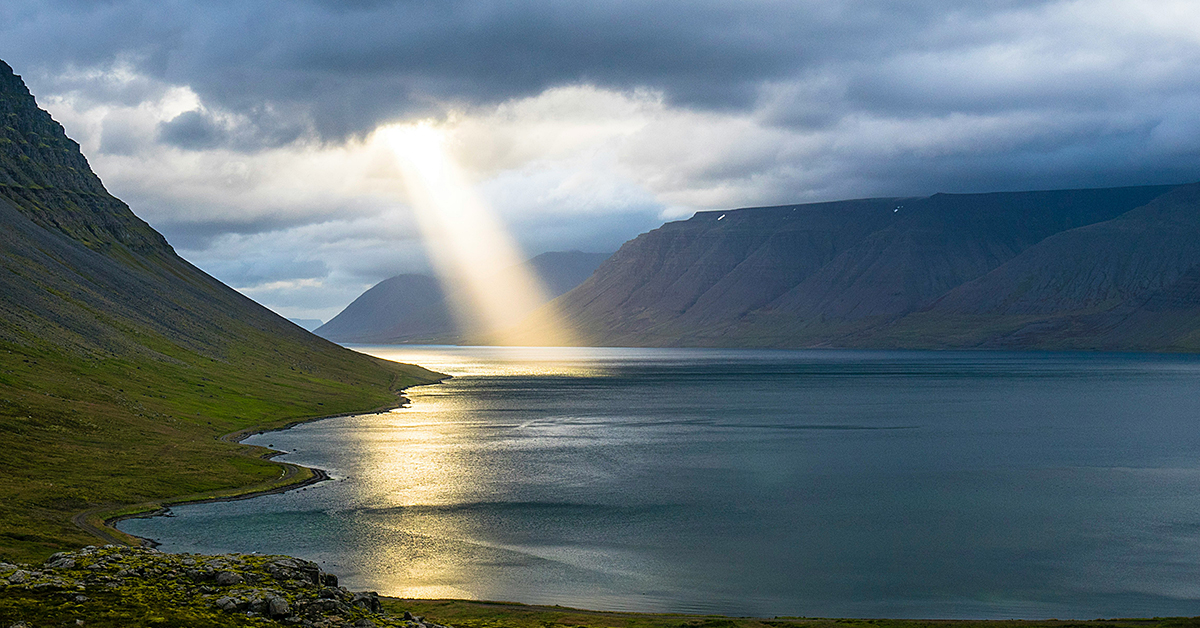 photo by Davide Cantelli via unsplash