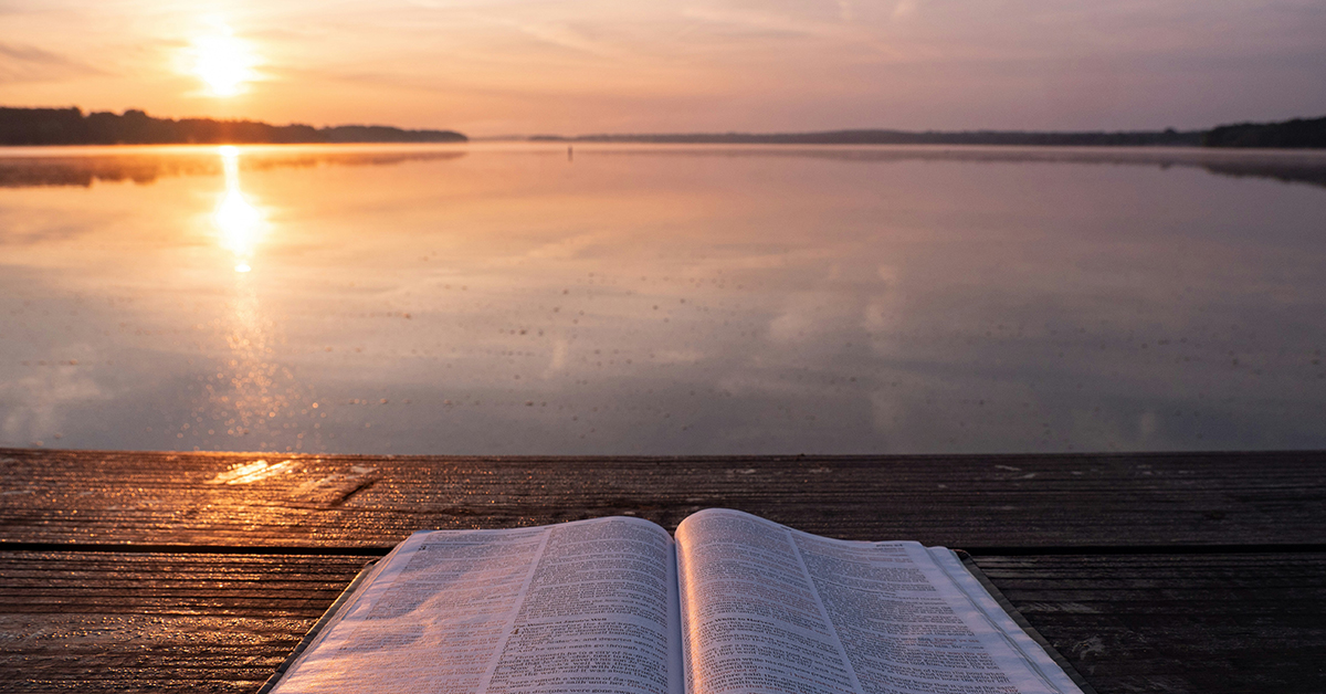 photo by Aaron Burden via unsplash