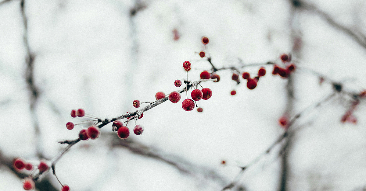 photo by Freestocks via unsplash