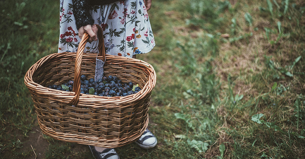 fruit basket photo by Annie Spratt via unsplash