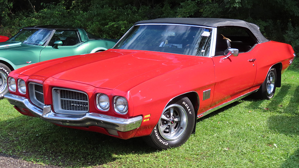 Photo used under the Creative Commons Attribution-Share Alike 4.0 International license (https://creativecommons.org/licenses/by-sa/4.0/deed.en); photo by WikiMedia user MercurySable 99