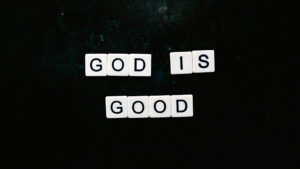 photo by Sincerely Media via unsplash